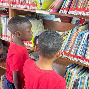 Lubuto Library Partners