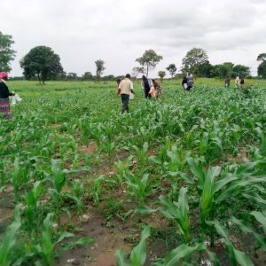 Zambian Rainbow Development Foundation