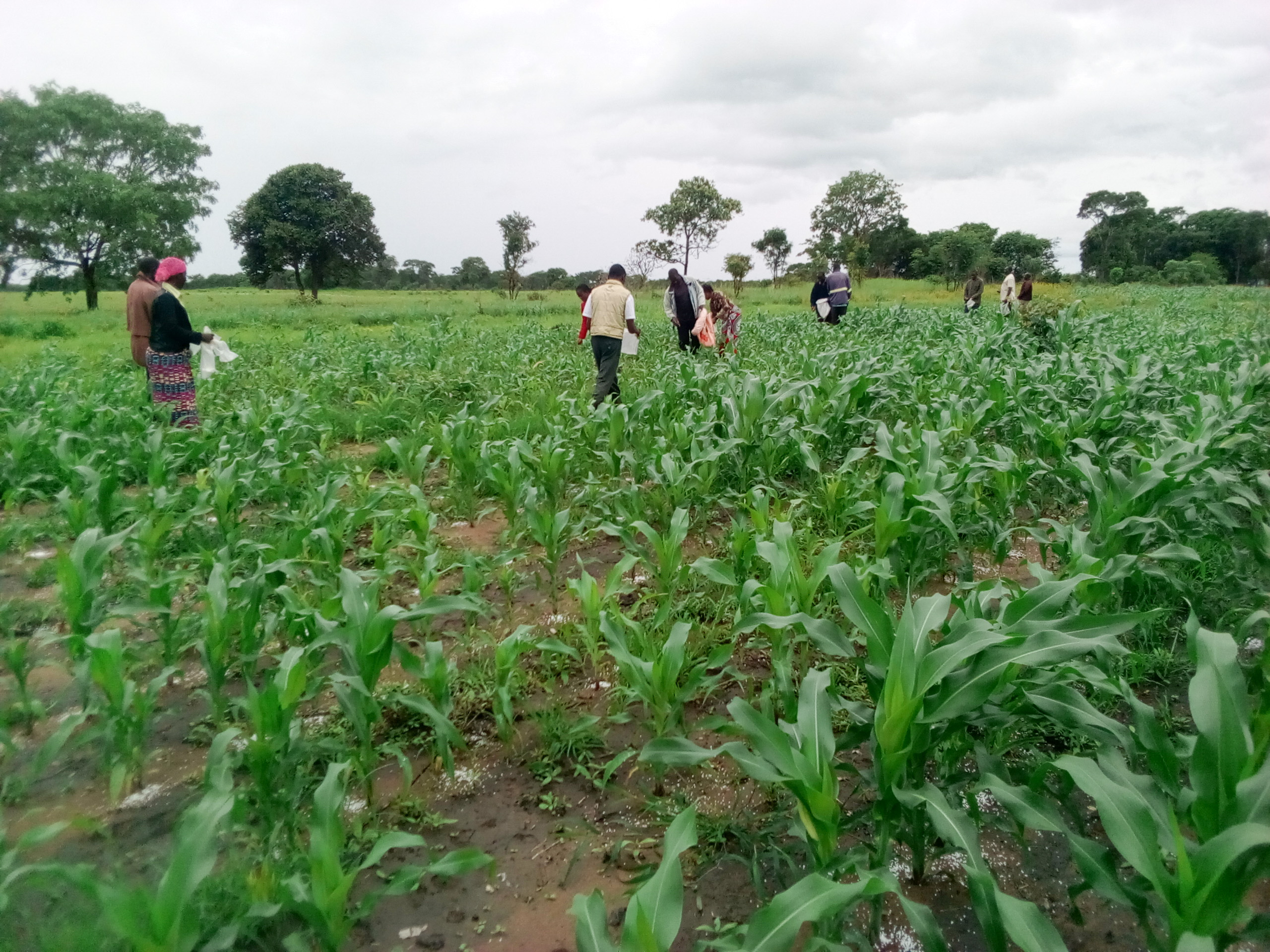 Zambian Rainbow Development Foundation