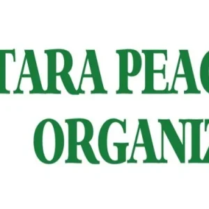Stara Peace Women Organization
