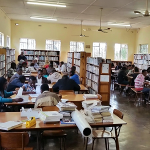 Edward Ndlovu Memorial Trust (ENMT)